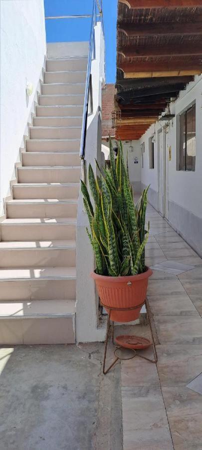 Hotel Paraaco Paracas Exteriér fotografie